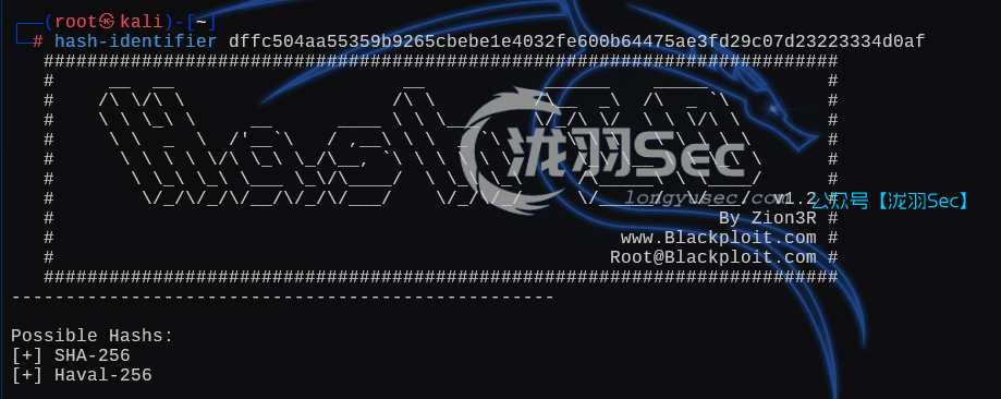 image-20250108193348667