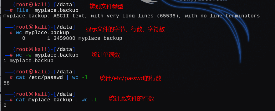 image-20250110222813776