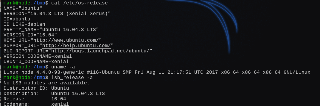 image-20250110232259729