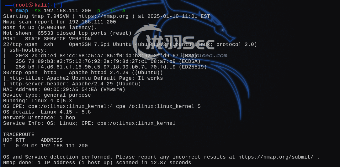 image-20250111000538526