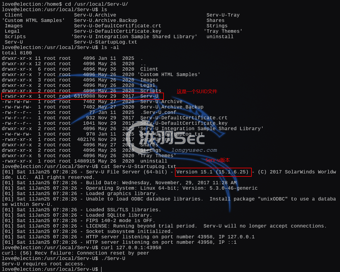 image-20250111020555447