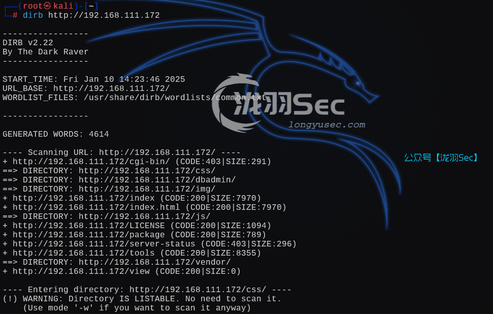 image-20250111032415513