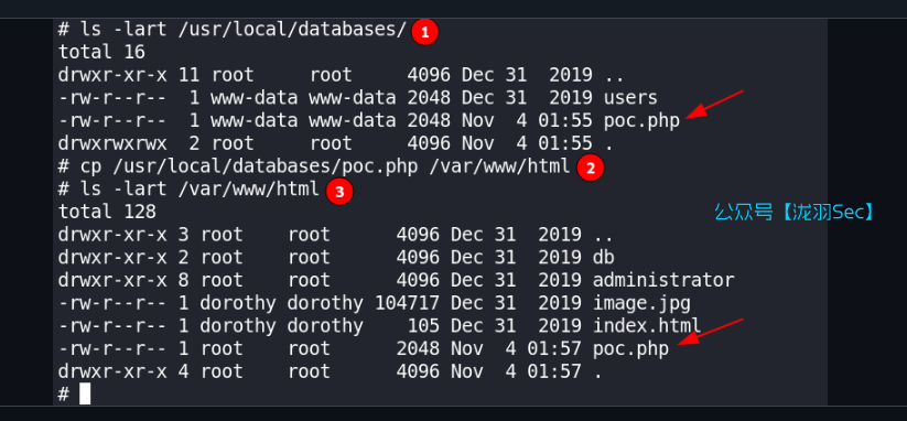 image-20250111034425542