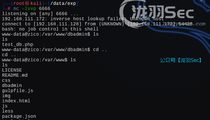 image-20250111040655540