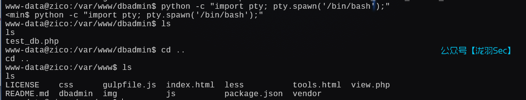 image-20250111040914320