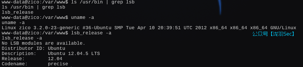 image-20250111041040497