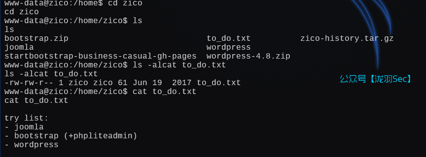 image-20250111041946642