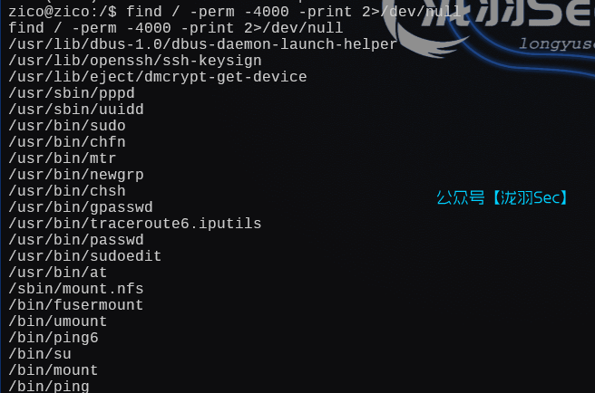 image-20250111043036449