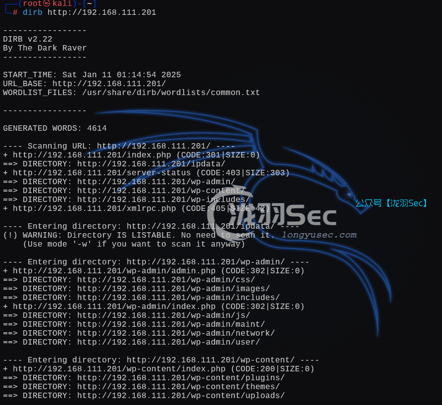 image-20250111141523052