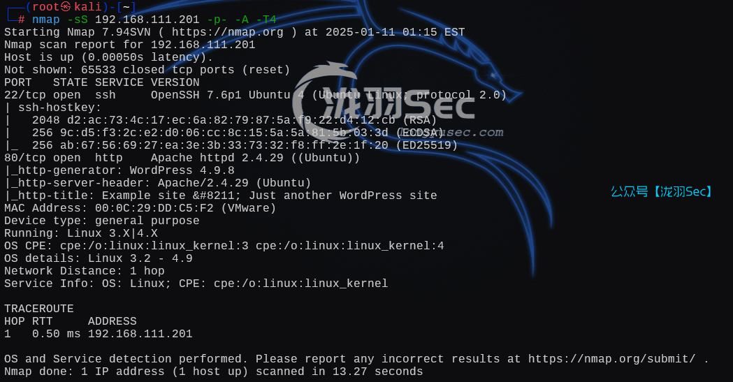 image-20250111141614650