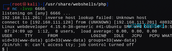 image-20250111152521101