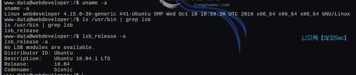 image-20250111191804476