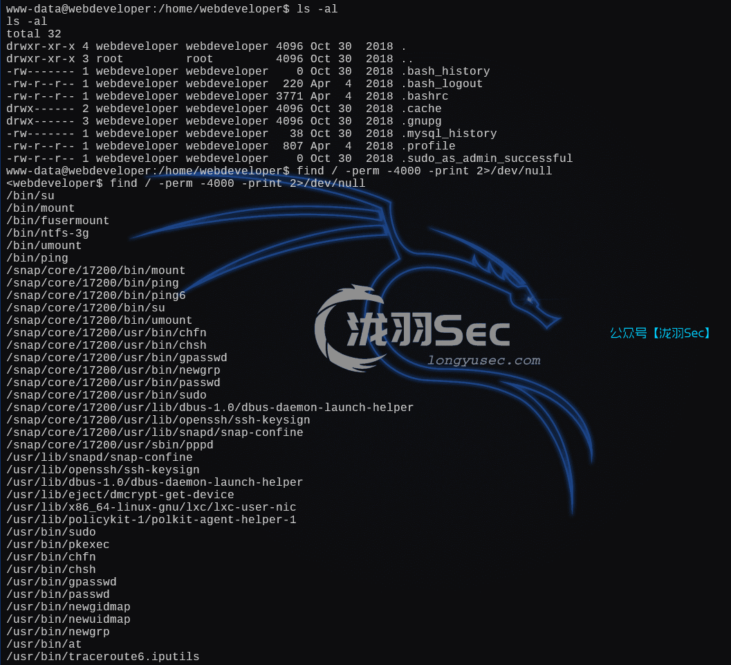 image-20250111191940327