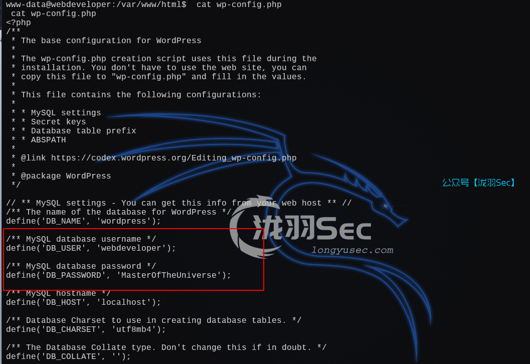 image-20250111192534237