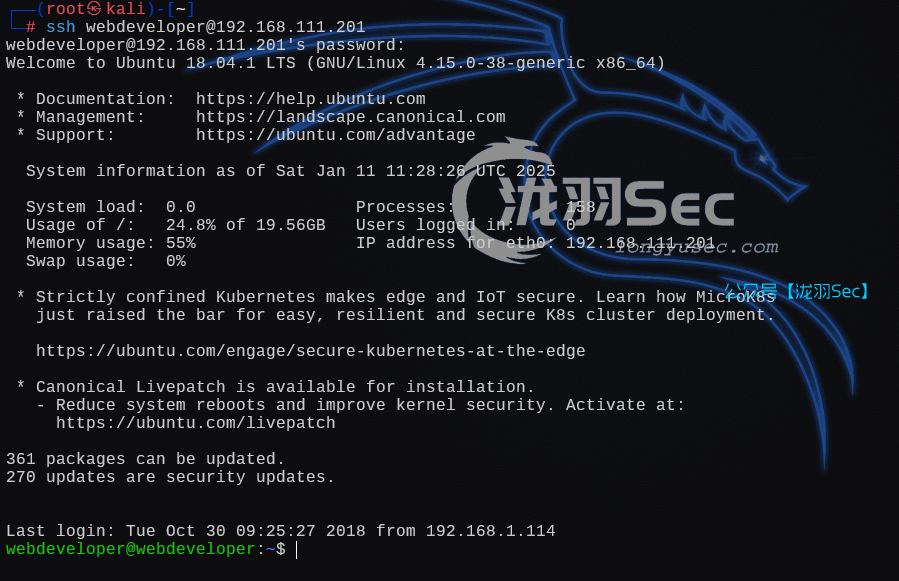 image-20250111192835954