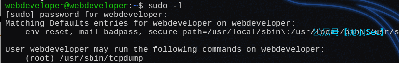 image-20250111193515296