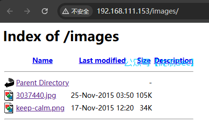 image-20250113181740816