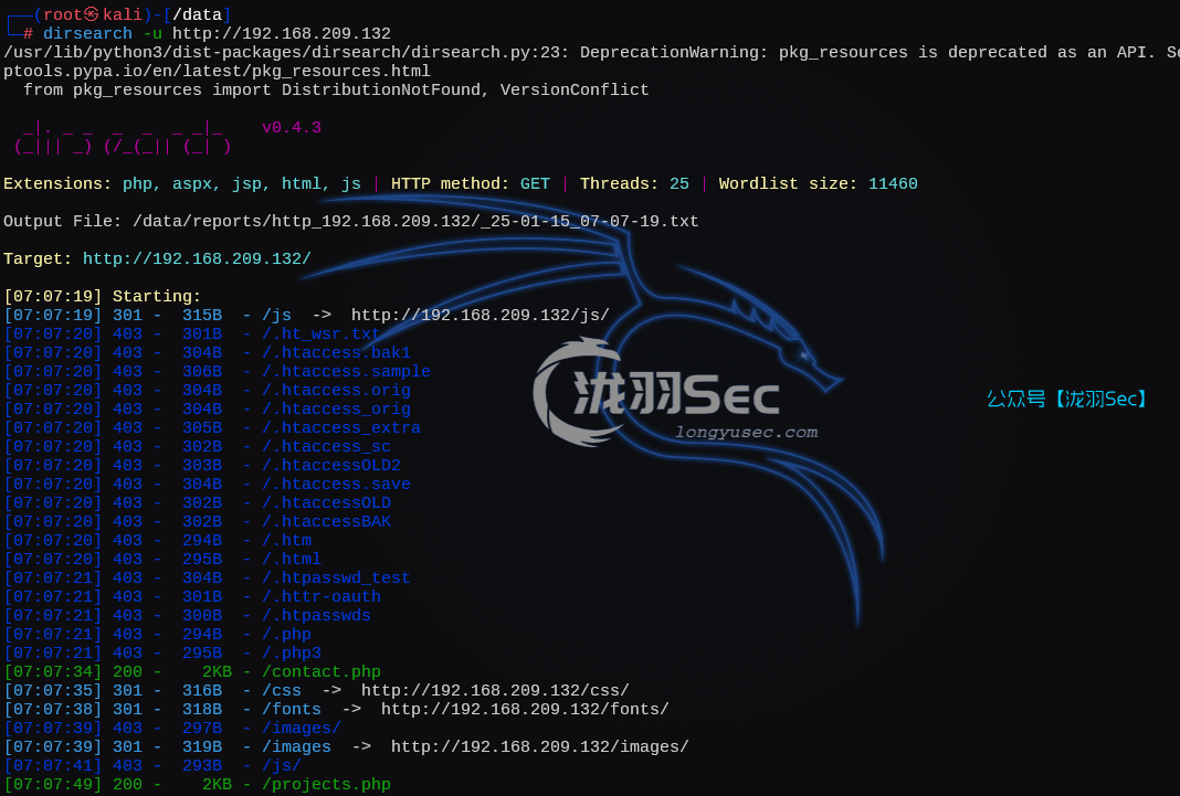 image-20250115200843632