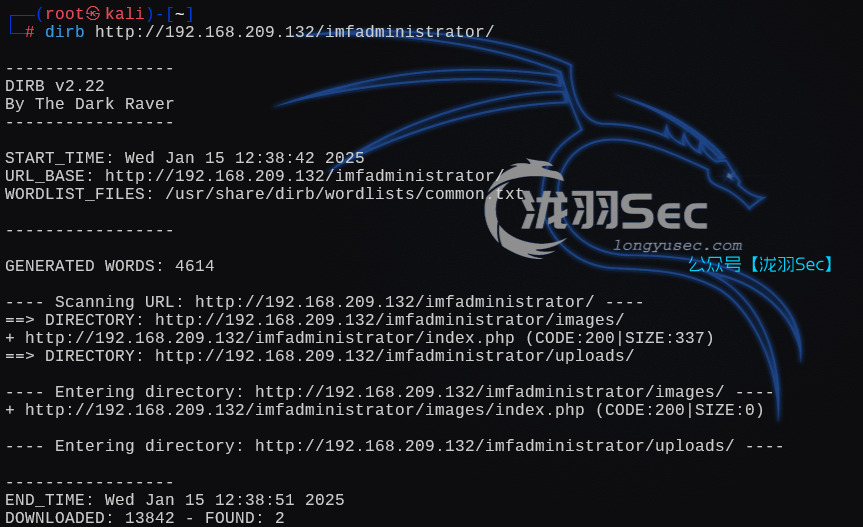 image-20250116013938181