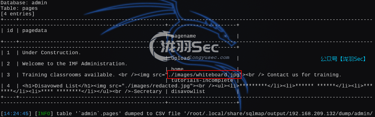 image-20250116032502506