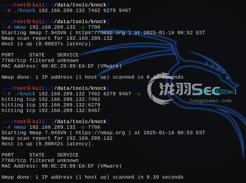 image-20250118232120871