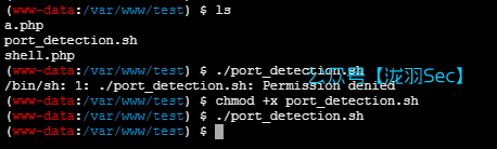 image-20250120212631946