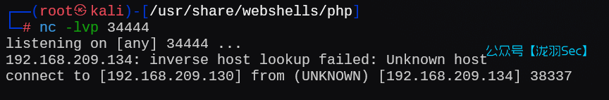 image-20250120235744147