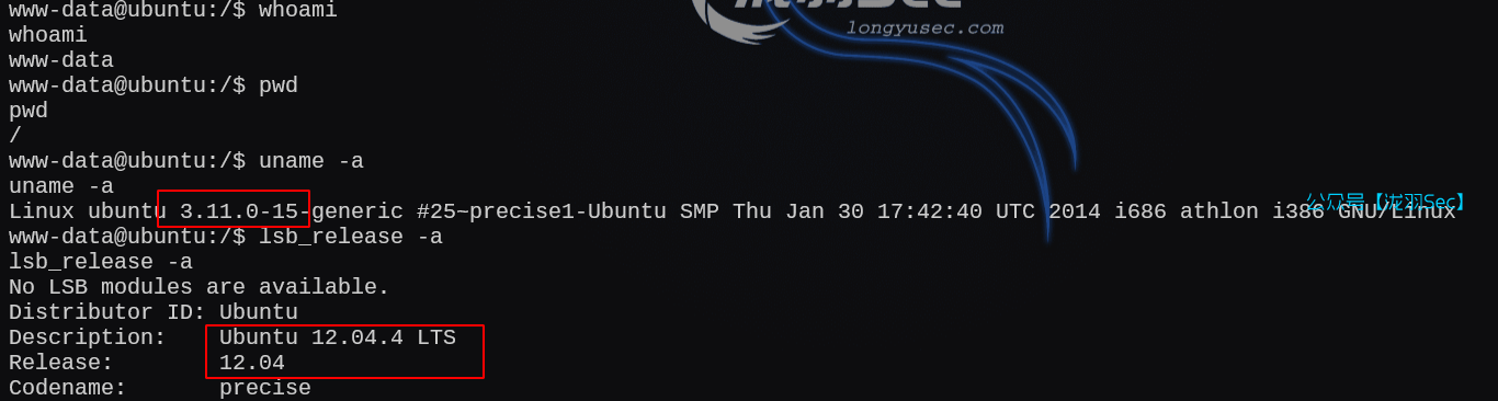 image-20250121004207763