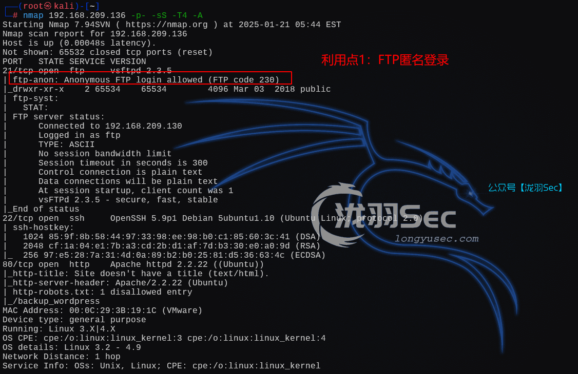 image-20250121184837955