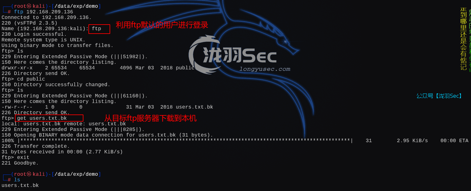 image-20250121185447621