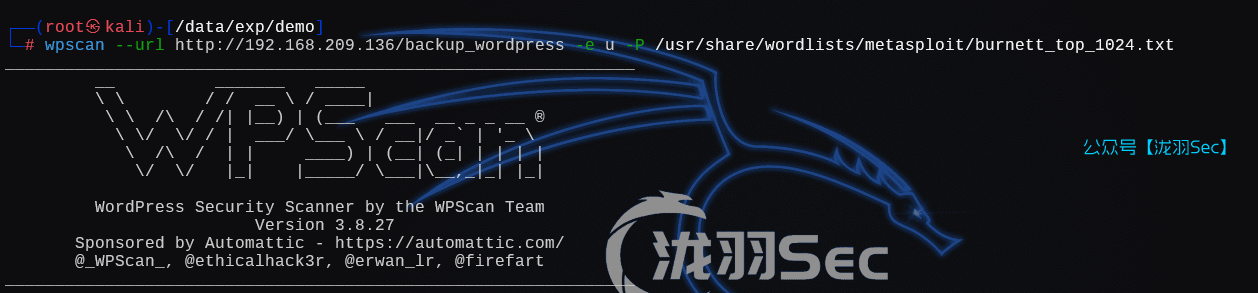 image-20250121192331741