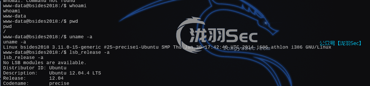 image-20250121193303377