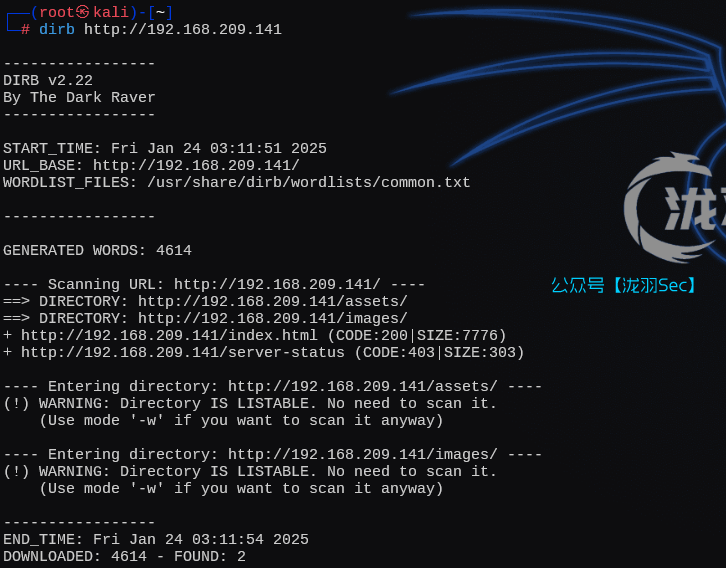 image-20250124161223187