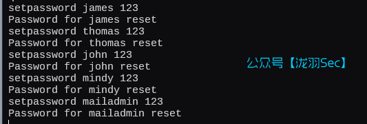 image-20250124163146464